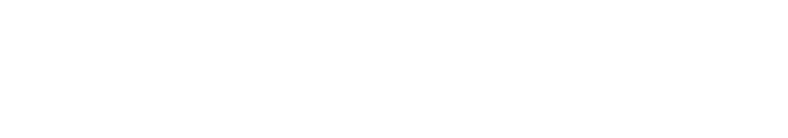 Shanghai Ssípín Business Consulting Co. Ltd