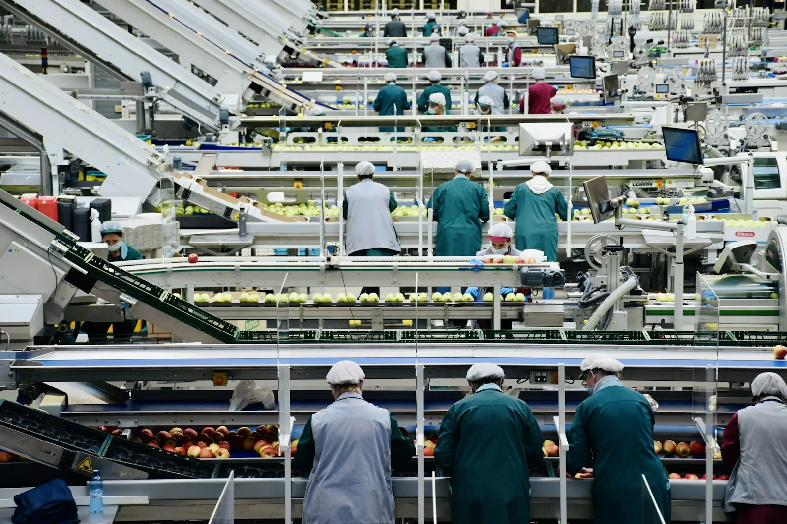 Workers on a factory production line
